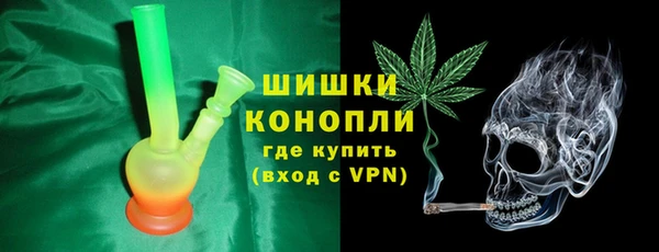 ПСИЛОЦИБИНОВЫЕ ГРИБЫ Вязники