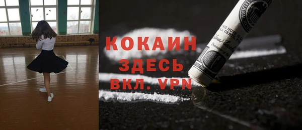 mdpv Вяземский