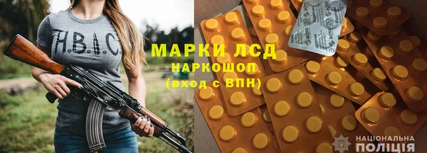 mdpv Вяземский