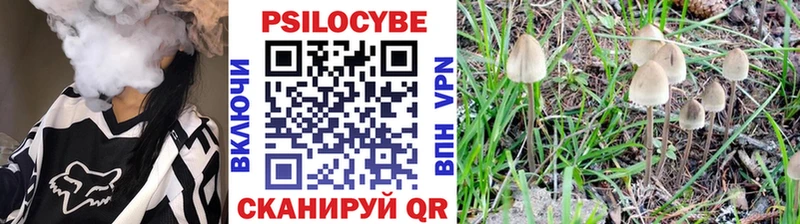 Галлюциногенные грибы MAGIC MUSHROOMS  hydra вход  дарк нет клад  Петров Вал 